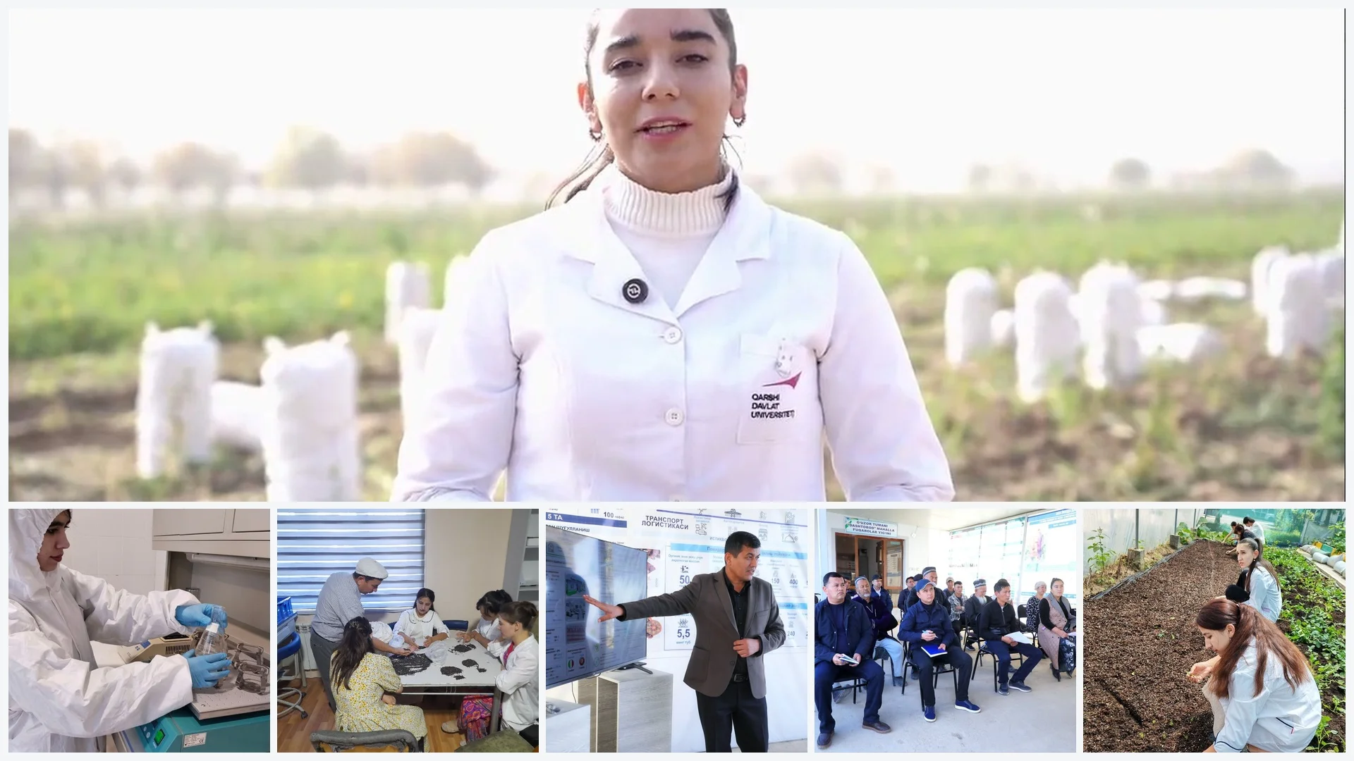 Knowledge Sharing and Technology Transfer for Sustainable Agriculture and Food Security